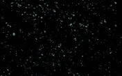 Star Galaxy spazzolato